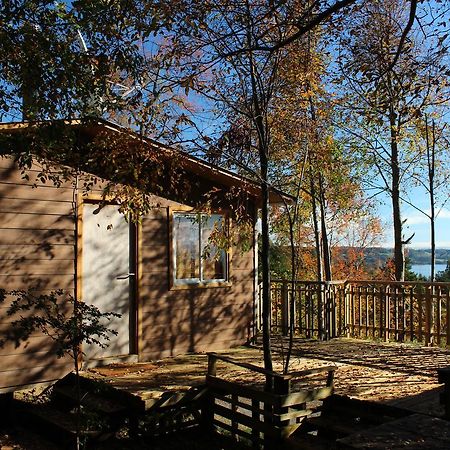 Cabanas Mas Ke Miel Población Población Lago Ranco 외부 사진